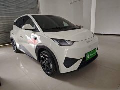 BYD Seagull Smart Driving Edition 305km Freedom Edition - ფოტო 3