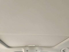 Volkswagen Bora 200TSI DSG Comfort Pro - ფოტო 17