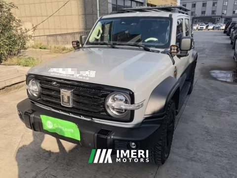 2024 Tank 300 2.0T Conqueror - ავტომობილი ჩინეთიდან