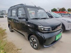 Wuling Zhiguang New Energy 305km Aspiring Edition - ფოტო 3