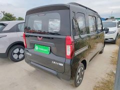 Wuling Zhiguang New Energy 305km Aspiring Edition - ფოტო 6