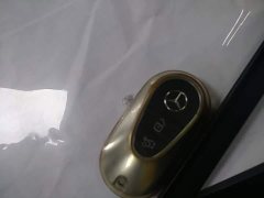 Mercedes-Benz EQE 350 Pioneer Special Edition - ფოტო 8