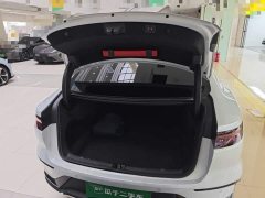BYD Han DM-i Glory Edition 121KM Premium - photo 18