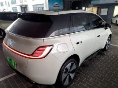 Baojun Yunduo 460 Max - ფოტო 6