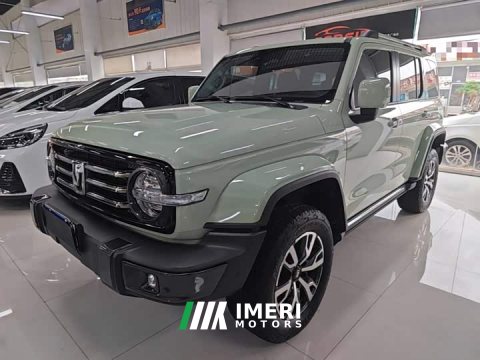 2022 Tank 300 City Edition 2.0T Essential - ავტომობილი ჩინეთიდან