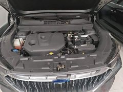 Changan Oushan X5 1.6L CVT Luxury - ფოტო 19