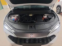 BYD Song L DM-i 130KM Exceed - ფოტო 19