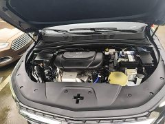 Wuling Kaje 1.5T CVT Premier - ფოტო 19