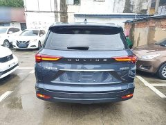 Wuling Kaje 1.5T CVT Premier - ფოტო 5