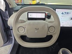 Nio Firefly Luminous Edition - ფოტო 10