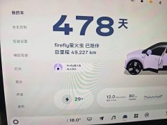 Nio Firefly Luminous Edition - ფოტო 11