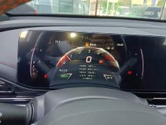 Trumpchi Leopard 270T DCT J15 - ფოტო 11