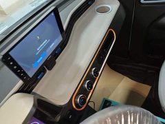 Wuling Hongguang MINIEV Deluxe Edition LFP Battery - ფოტო 12