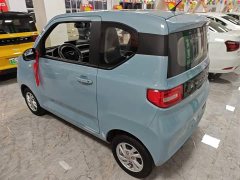 Wuling Hongguang MINIEV Deluxe Edition LFP Battery - ფოტო 4