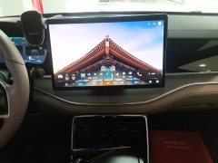 BYD Yuan Plus DM-i Glory Edition 112KM Flagship - ფოტო 12