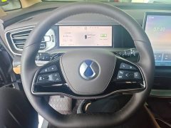 Denza D9 DM-i Smart Drive 1020 Four-Wheel Drive Premium - ფოტო 10