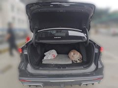 Geely Galaxy L6 125km PLUS Longteng Edition - ფოტო 9