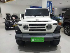 Dongfeng 212 T01 2.0T Review Official - ფოტო 2