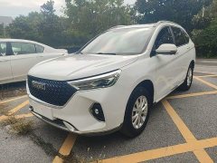 Haval M6 PLUS 1.5T DCT Luxury Smart Connected Edition - ფოტო 1