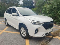 Haval M6 PLUS 1.5T DCT Luxury Smart Connected Edition - ფოტო 3