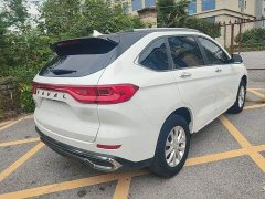Haval M6 PLUS 1.5T DCT Luxury Smart Connected Edition - ფოტო 6