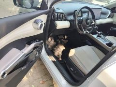 BYD Yuan Plus Champion Edition 430KM Exceed - ფოტო 15