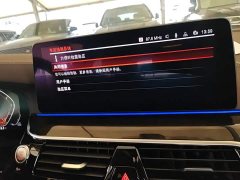 BMW 5 Series Facelift 525Li Luxury Package - ფოტო 12