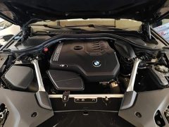 BMW 5 Series Facelift 525Li Luxury Package - ფოტო 19