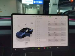 Tesla Model Y Long Range All-Wheel Drive Launch Edition - ფოტო 11