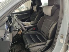 Geely Xingrui 2.0T Diesel Spacetime Edition Starlight - ფოტო 14