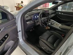 Geely Xingrui 2.0T Diesel Spacetime Edition Starlight - ფოტო 15