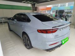 Geely Xingrui 2.0T Diesel Spacetime Edition Starlight - ფოტო 4