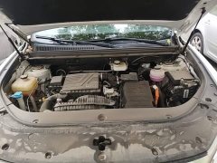 BYD Song Pro New Energy DM-i 71KM Glory Edition Pilot - ფოტო 19