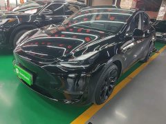 Tesla Model Y Standard Range RWD - ფოტო 1