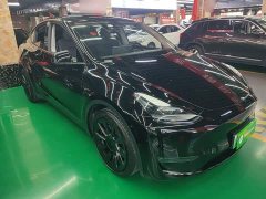 Tesla Model Y Standard Range RWD - ფოტო 3