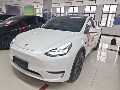 Tesla Model Y Rear-Wheel Drive - ფოტო 1
