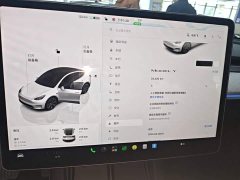 Tesla Model Y Rear-Wheel Drive - ფოტო 11