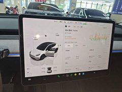 Tesla Model Y Rear-Wheel Drive - ფოტო 12