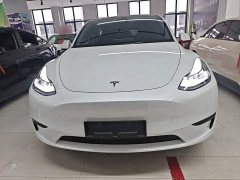 Tesla Model Y Rear-Wheel Drive - ფოტო 2