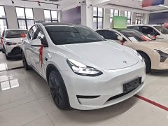 Tesla Model Y Rear-Wheel Drive - ფოტო 3