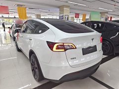Tesla Model Y Rear-Wheel Drive - ფოტო 4