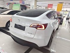Tesla Model Y Rear-Wheel Drive - ფოტო 6