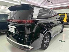 Denza D9 DM-i 980 Four-Wheel Drive Premium - ფოტო 19