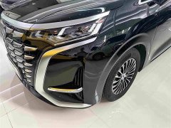 Denza D9 DM-i 980 Four-Wheel Drive Premium - ფოტო 3