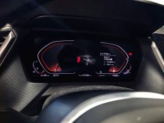 BMW 2 Series (Imported) Year Facelift 225i Four-Door Coupe M Sport Night Edition Package - ფოტო 6