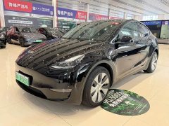 Tesla Model Y Long Range All-Wheel Drive - ფოტო 1