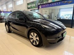 Tesla Model Y Long Range All-Wheel Drive - ფოტო 3