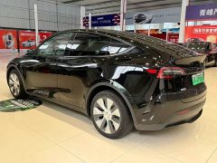 Tesla Model Y Long Range All-Wheel Drive - ფოტო 7