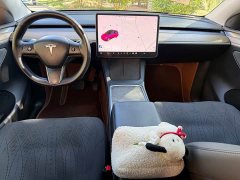 Tesla Model Y Standard Range RWD - ფოტო 9