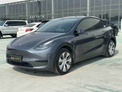 Tesla Model Y Rear-Wheel Drive - ფოტო 1